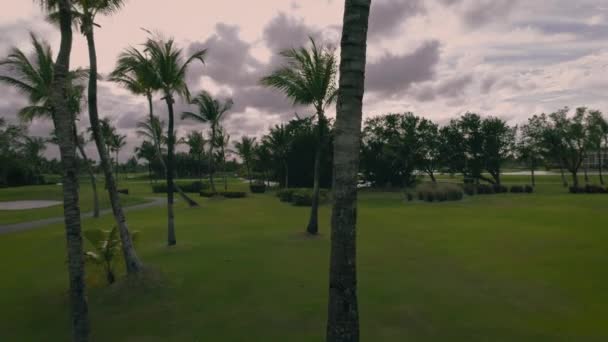 Vue Aérienne Parcours Golf Luxe Avec Palmiers Tropicaux Punta Cana — Video