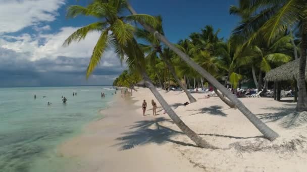 Vista Aérea Playa Isla Tropical Punta Cana República Dominicana Vacaciones — Vídeos de Stock