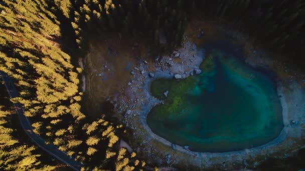 Drohnenaufnahme Von Bergsee Und Wald Den Alpen Italien Lago Carezza — Stockvideo