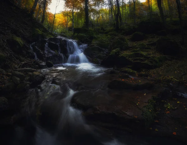 Cascade ou printemps de montagne dans la forêt d'automne — Photo