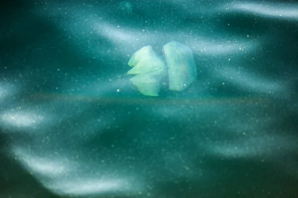 Úszhat a tengerben medúzákat — Stock Fotó