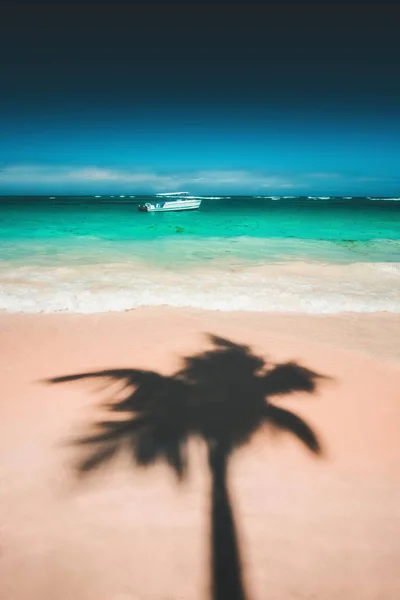 Palmiers ombre sur la plage tropicale Punta Cana, République dominicaine — Photo
