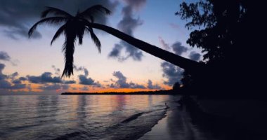 Sunrise deniz görünümü ve tropikal Island beach Resort Punta Cana, Dominik Cumhuriyeti