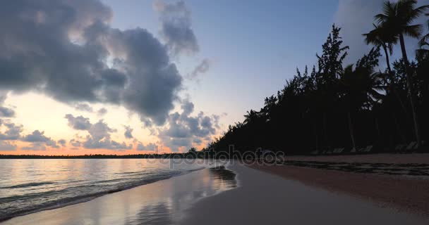 Bellissimo Video All Alba Sulla Spiaggia Tropicale Dell Isola Bavaro — Video Stock