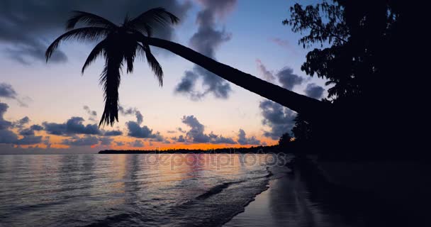 Sunrise Pohled Tropický Ostrov Pláže Letovisku Punta Cana Dominikánská Republika — Stock video