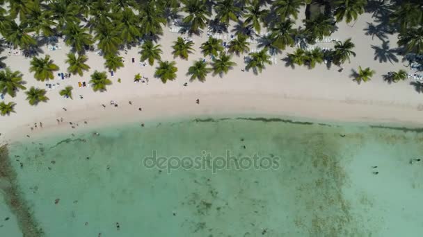 热带岛屿上的天堂海滩 Saona 多米尼加共和国 顶部无人机视图 — 图库视频影像