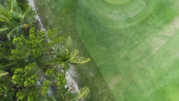 Luchtfoto Van Tropische Golfbaan Punta Cana Resort Dominicaanse Republiek — Stockvideo