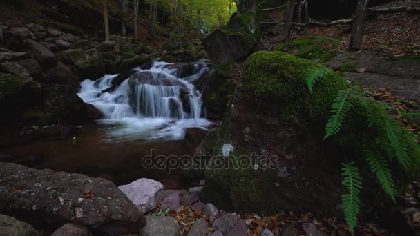 秋天森林瀑布河与岩石在山风景 — 图库视频影像