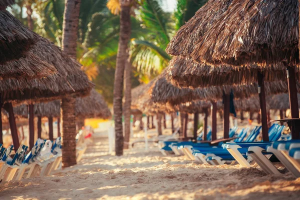 Tropical Beach Resort a Punta Cana, Repubblica Dominicana — Foto Stock