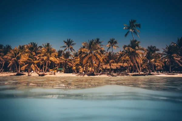 Palm en tropisch strand in Punta Cana, Dominicaanse Republiek — Stockfoto