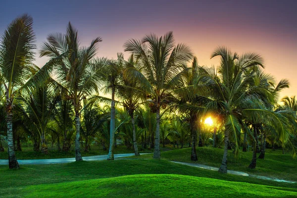 Golfbaan op het platteland. Badplaats Punta Cana, Dominicaanse Republiek — Stockfoto