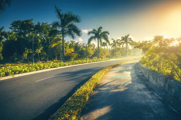 Jardín tropical y sendero hacia resort de lujo en Punta Cana — Foto de Stock