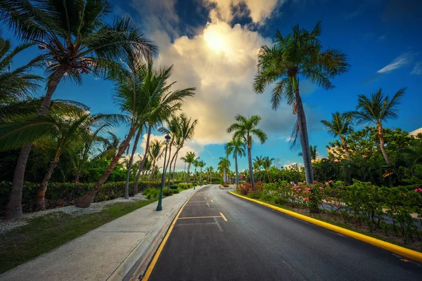 Tropical garden and pathway toward luxury resort in Punta Cana, — Stock Photo, Image