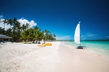 Palmiye ve tropikal plaj Punta Cana, Dominik Cumhuriyeti için