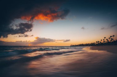 Peyzaj cennet tropikal ada Beach