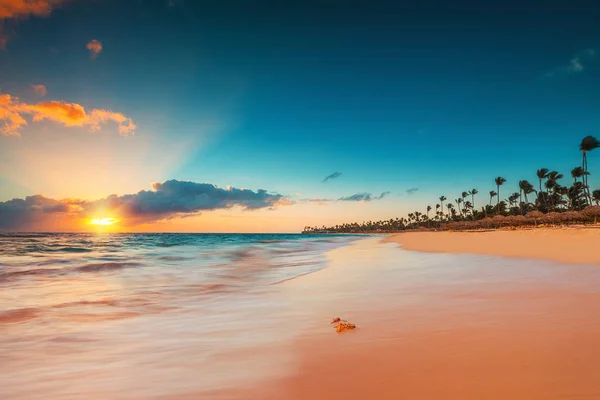 Palmiye ve tropikal plaj Punta Cana, Dominik Cumhuriyeti için — Stok fotoğraf