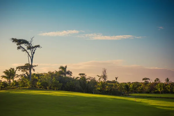 Campo da golf immerso nel verde — Foto Stock