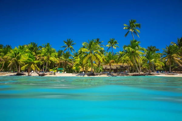 Palmer och tropiska stranden i Punta Cana, Dominikanska Republiken — Stockfoto