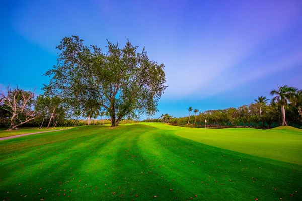 Campo de golfe com palmeiras tropicais e lago em Punta Cana. Dom — Fotografia de Stock