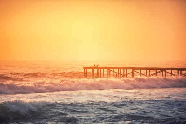 Mañana brumosa sobre el mar. Gaviotas de pie en el viejo híbrido roto — Foto de Stock