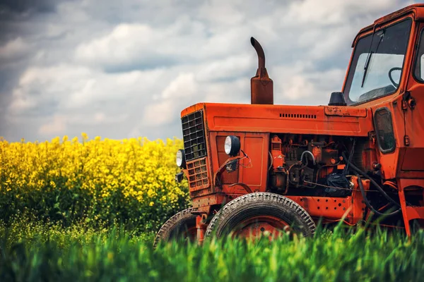 Трактор на сільськогосподарських полях — стокове фото