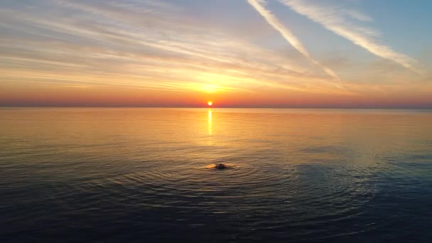 Flygfoto Över Gyllene Soluppgången Över Havet Bevattnar Och Rippel Vågor — Stockvideo