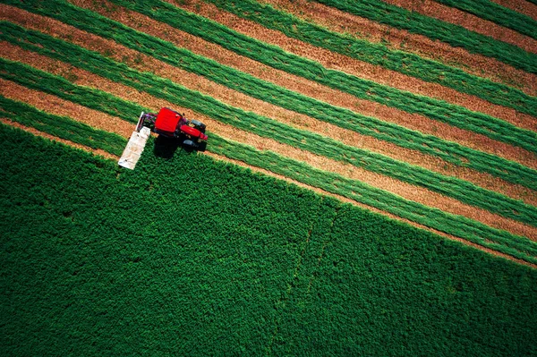 Traktor fűnyíró zöld mező, légi kilátás — Stock Fotó