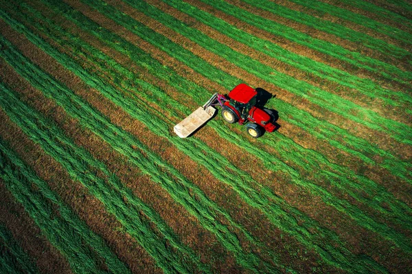 Кошение трактора, зеленое поле, вид с воздуха — стоковое фото