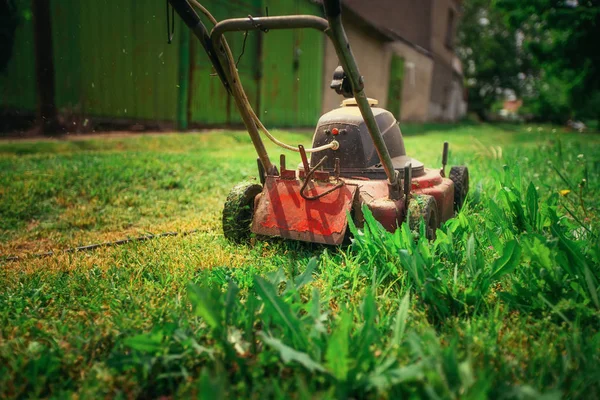 Cortacésped corte césped verde en fondo backyard.Gardening. — Foto de Stock