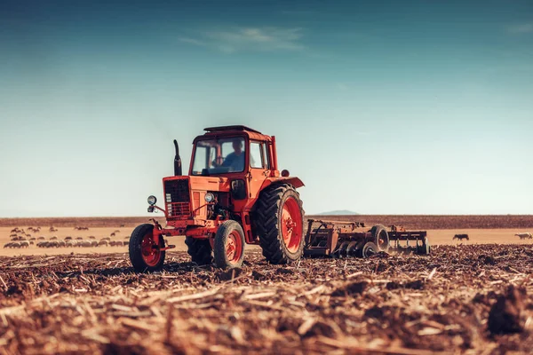 Jordbrukare i traktor förbereder mark med såbäddskultivator — Stockfoto