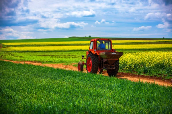 Трактор в сільськогосподарських ріпакових і пшеничних полях і драматичних хмарах — стокове фото