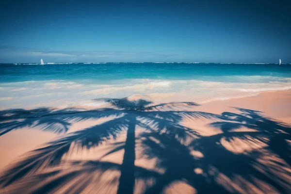 Palmeiras sombra na praia tropical Punta Cana, República Dominicana — Fotografia de Stock