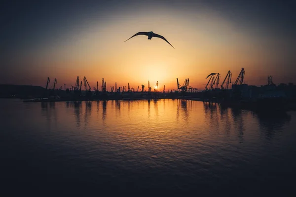 保加利亚瓦尔纳海港和工业起重机鸟瞰图. — 图库照片