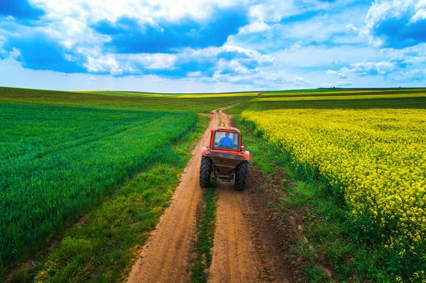 Widok z lotu ptaka na pola rolne — Zdjęcie stockowe