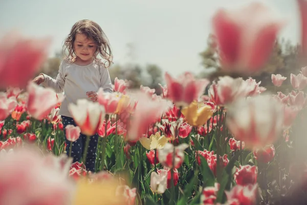 Little beautiful girl in flowers park and blooming tulips — Stock Photo, Image