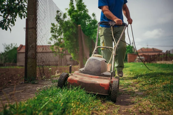 Lawn mower cutting green grass in backyard.Gardening background. — Stock Photo, Image