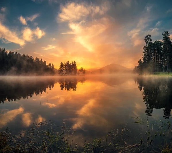 Morning Fog Lake Sunrise Shot — Stock Photo, Image