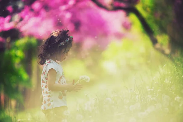 Schönes Kind Mit Löwenzahnblüte Frühlingspark Glückliches Kind Das Spaß Freien — Stockfoto