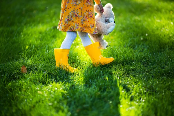 Menina abraçando brinquedo ursinho de pelúcia no parque de outono. Brincando com folhas caídas . — Fotografia de Stock