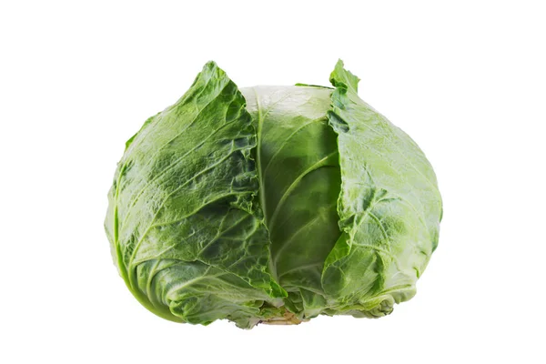 Green cabbage vegetable isolated on white background — Stock Photo, Image