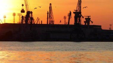 Bulgaristan 'ın Varna limanında yunus ve uçan kuşlar. Sanayi vinçleri ve kargo gemilerinin siluetleri