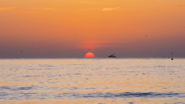 Αλιευτικό Σκάφος Και Ψαράς Στη Θάλασσα Όμορφο Πρωινό Χρυσή Ανατολή — Αρχείο Βίντεο