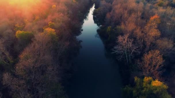 Vista Aérea Del Dron Sobre Río Los Árboles Otoño Desde — Vídeo de stock