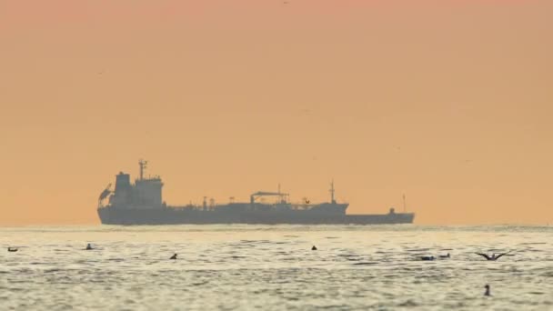 渔船和渔民在水里航行 金海日出 — 图库视频影像
