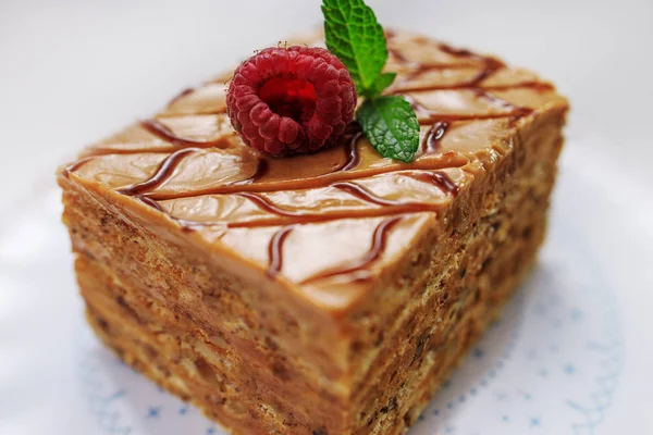 Cake piece chocolade met melk room en fruit geïsoleerd — Stockfoto