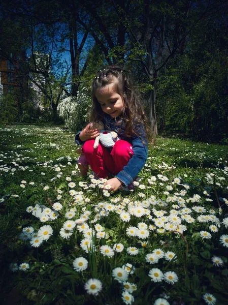 Glücklich Lächelndes Kleines Mädchen Mit Lockigem Haar Inmitten Des Gänseblümchenfeldes — Stockfoto