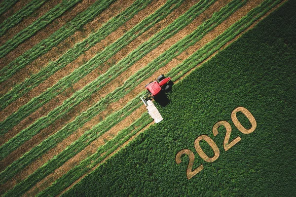 2020 년 행복 한 니의 옷차림 컨셉트와 녹색 밭을 깎는 적색 트랙터 — 스톡 사진