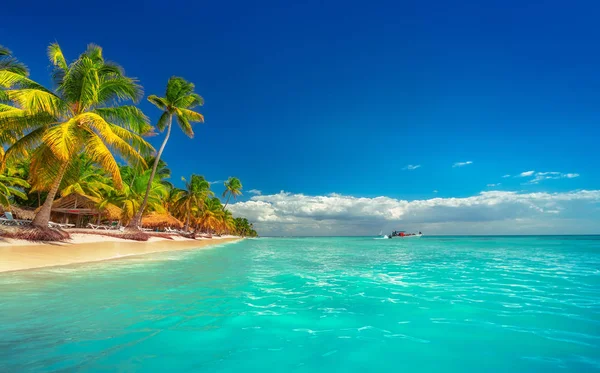 Paisagem do paraíso praia ilha tropical — Fotografia de Stock