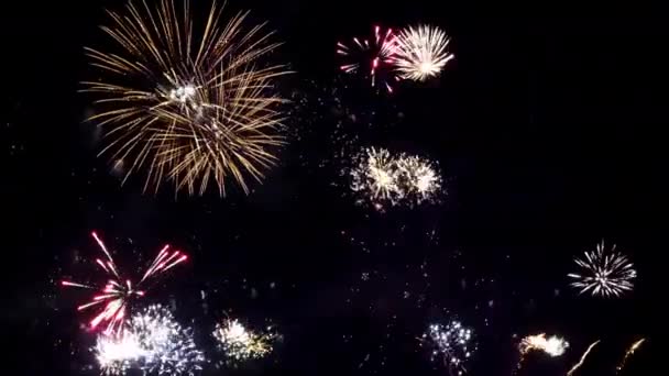 夜空に輝く花火 お祝いコンサート 休日2020 — ストック動画