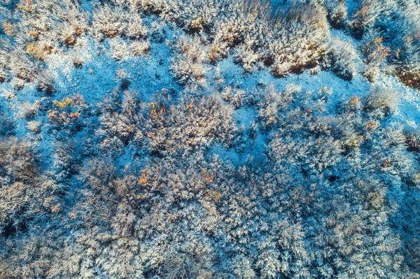 Vista aérea da floresta congelada de pinheiros e abetos na montanha — Fotografia de Stock